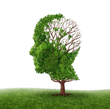 Neuro Linguististic Programming